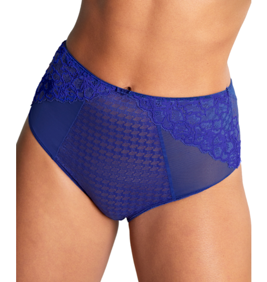 Envy Deep Brief  (Indigo) by Panache